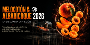 Campaña de melocotón y albaricoque 2026 con maquinaria para fruta de hueso