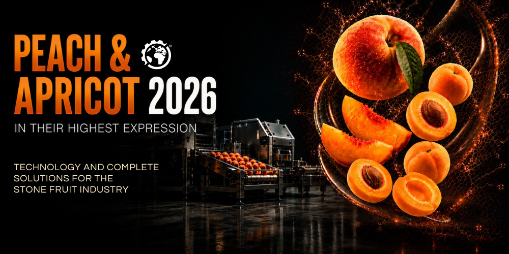 Peach & Apricot Campaign 2026: How to Optimize Your Processing Line and Avoid Bottlenecks
