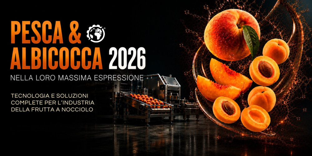 Campagna pesche e albicocche 2026 con linea di lavorazione della frutta a nocciolo e macchinari industriali per il settore ortofrutticolo